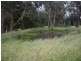 2120 Colac Forrest Road, Gerangamete VIC 3243