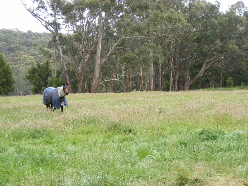 2120 Colac Forrest Road, Gerangamete VIC 3243