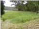 2120 Colac Forrest Road, Gerangamete VIC 3243