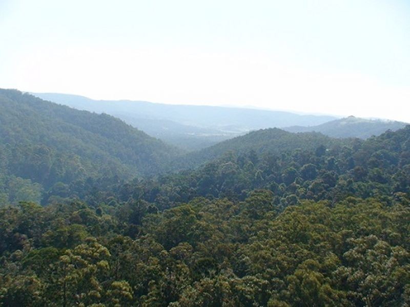 191 Policeman Spur Road, Maleny QLD 4552