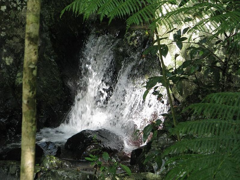 191 Policeman Spur Road, Maleny QLD 4552