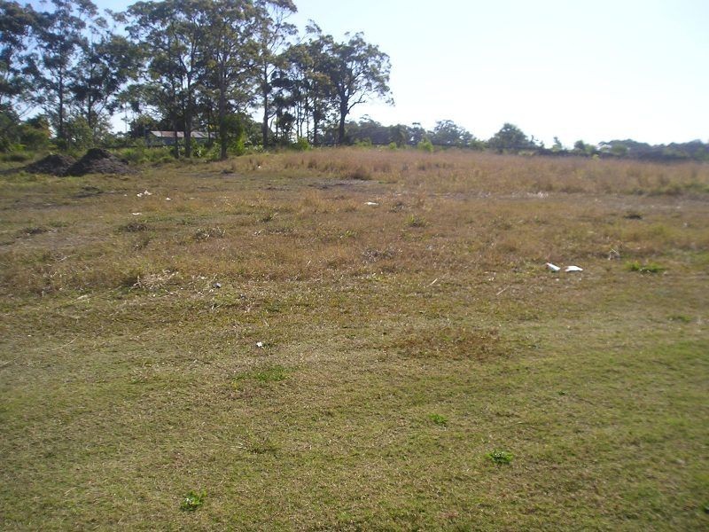 12 Rapanea Street, Caloundra QLD 4551