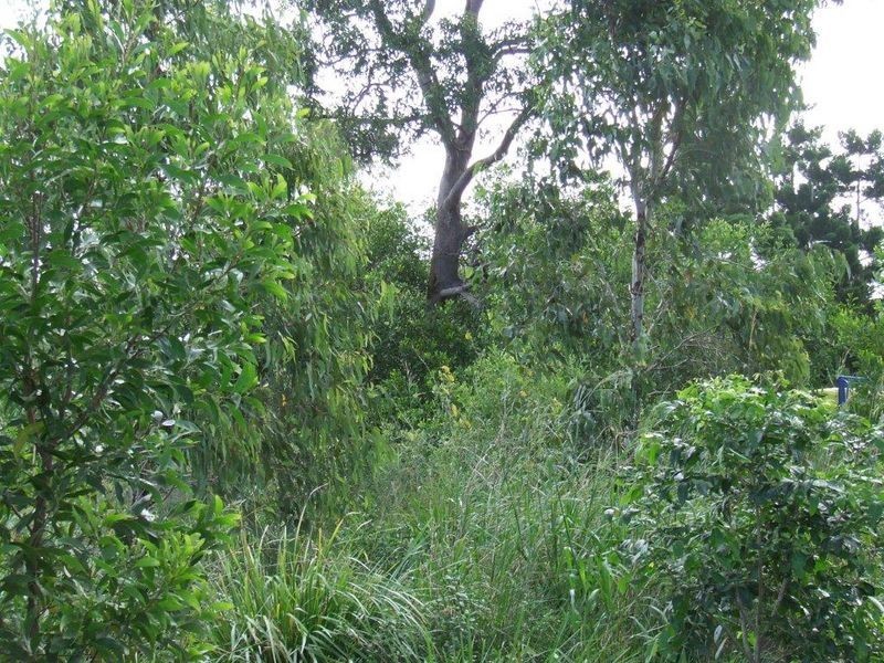 12 Rapanea Street, Caloundra QLD 4551