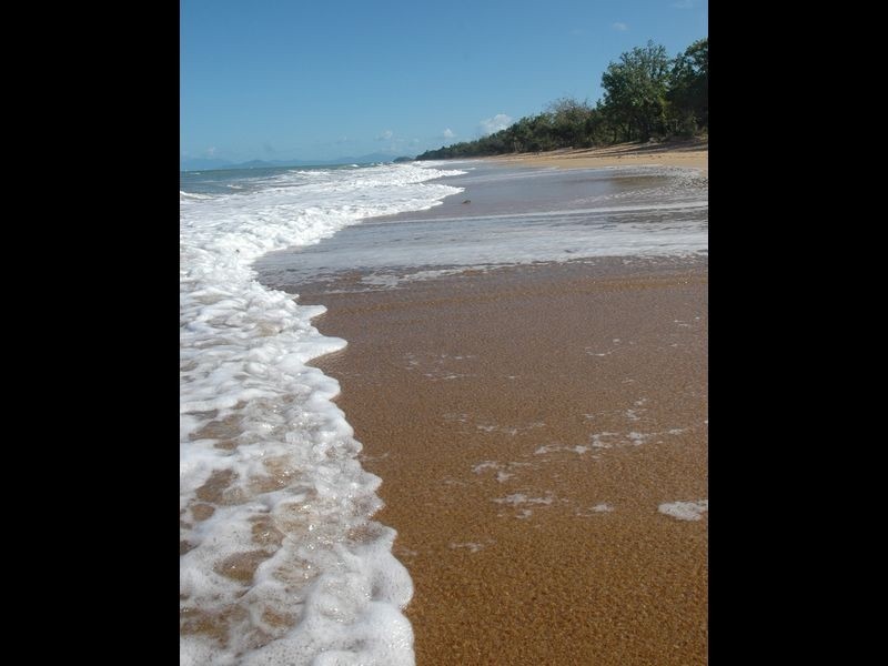 36 Dunkalli Cres, Wongaling Beach QLD 4852