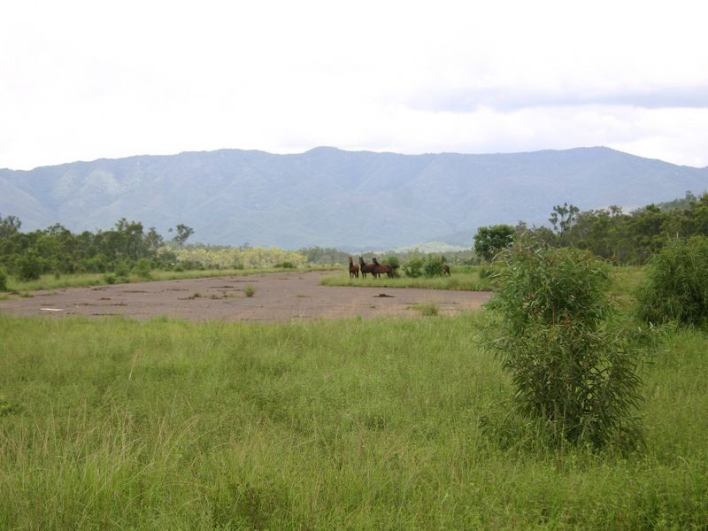 15 Blue Mountain Drive, Bluewater Park QLD 4818