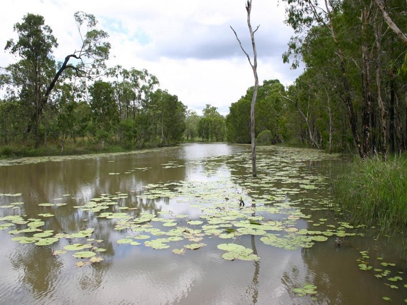 15 Blue Mountain Drive, Bluewater Park QLD 4818