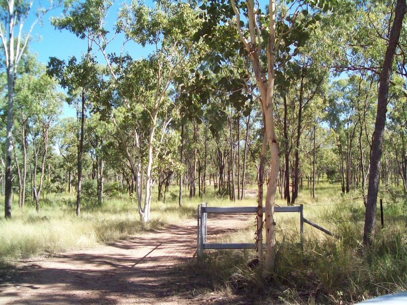 163 Plant Hill Road Reid River, Calcium QLD 4816