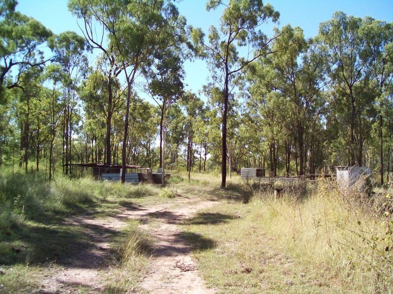 163 Plant Hill Road Reid River, Calcium QLD 4816