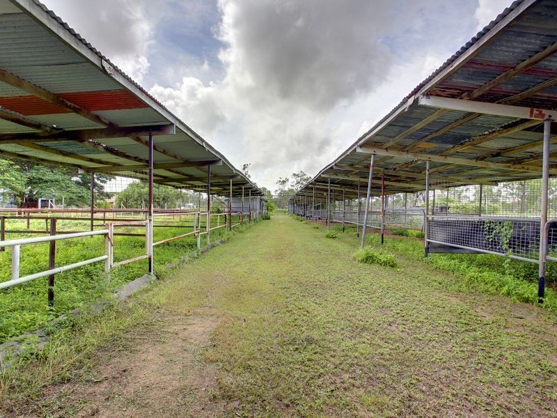 71 Haynes Road, Jensen QLD 4818