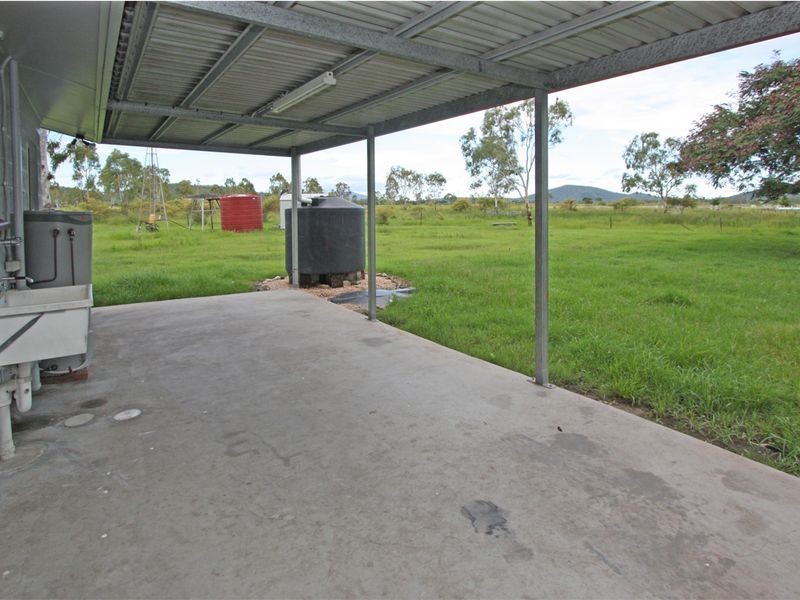 Alligator Creek QLD 4816