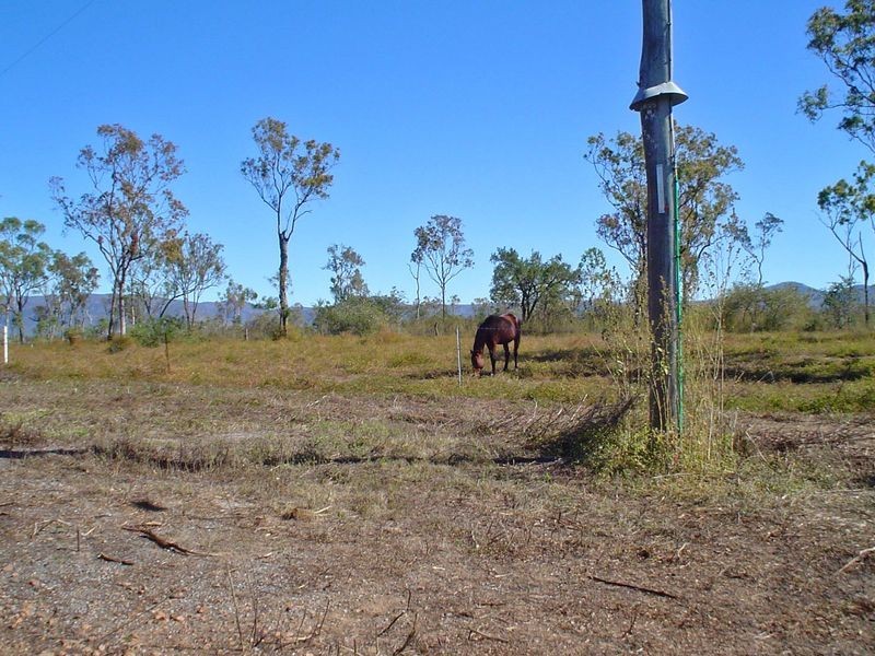 219 Crabb Road, Woodstock QLD 4816