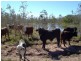 219 Crabb Road, Woodstock QLD 4816
