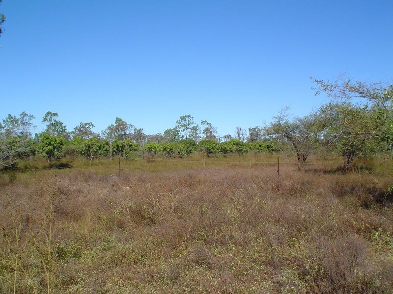 219 Crabb Road, Woodstock QLD 4816