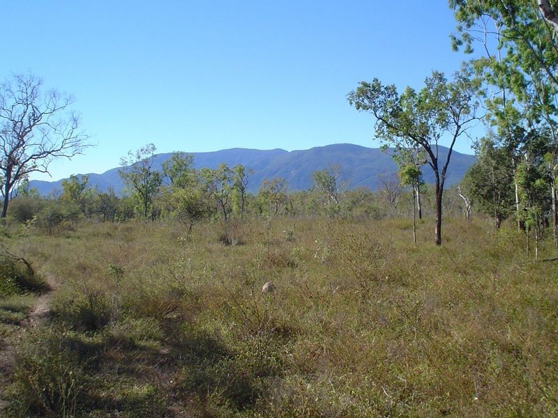 219 Crabb Road, Woodstock QLD 4816