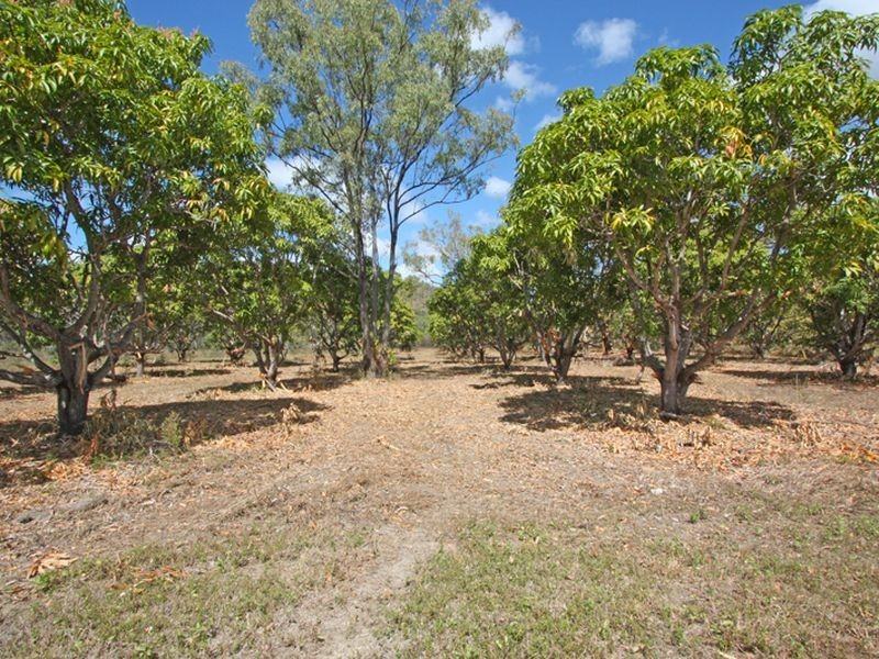 63 Wordsworth Road, Reid River QLD 4816