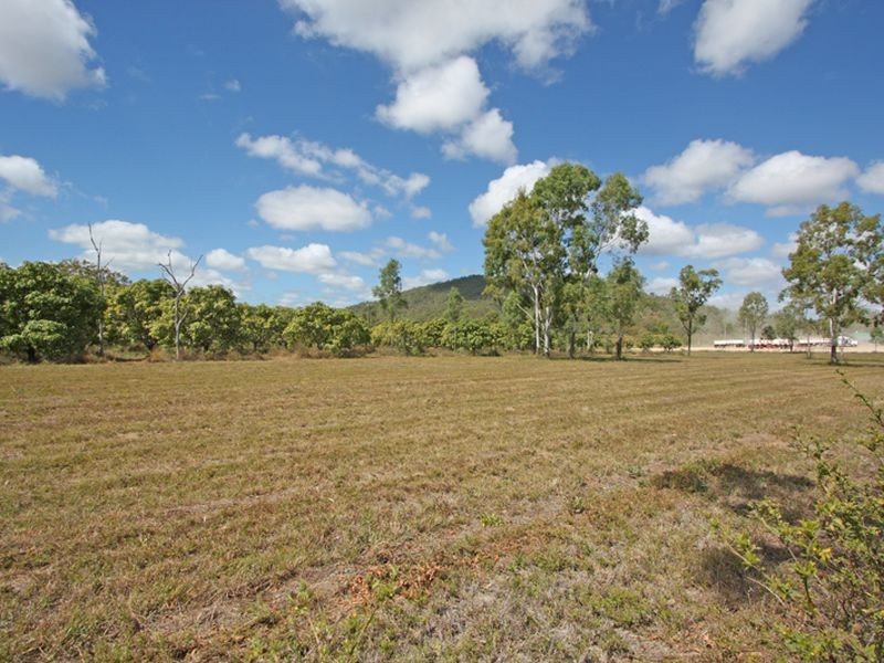 3 Shady Lane, Alligator Creek QLD 4816