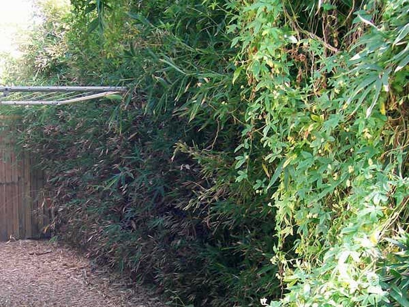 5/37 Hugh Street, West End QLD 4810