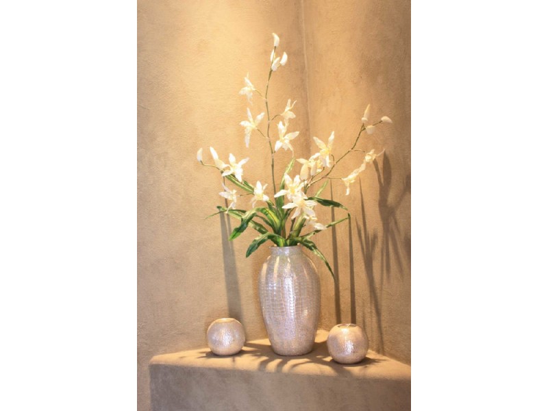 11 Cleary Street, Kirwan QLD 4817