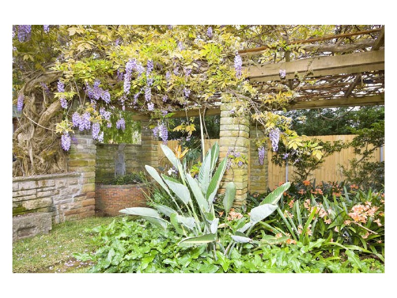 44 Powell Street, Killara NSW 2071