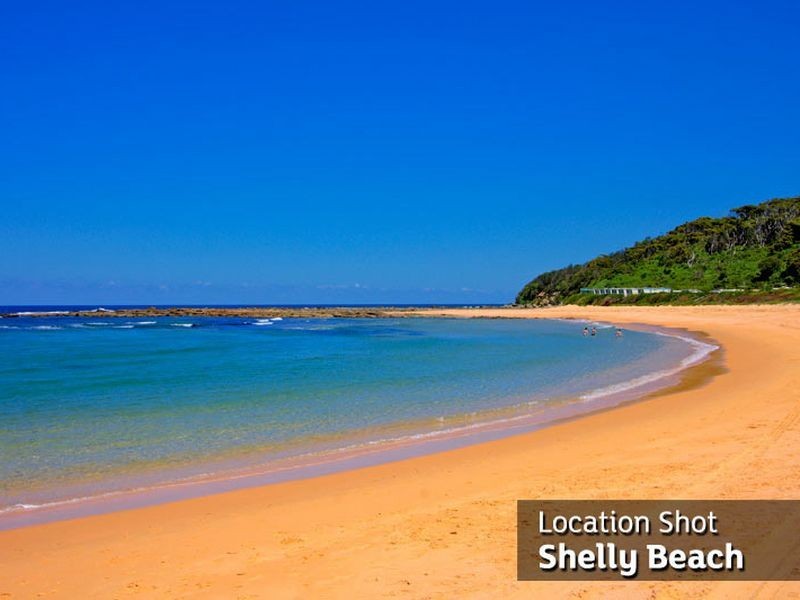 65 Oaks Avenue, Shelly Beach NSW 2261