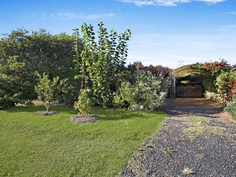 55a Oaks Avenue, Shelly Beach NSW 2261