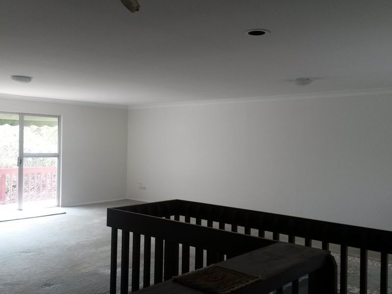 Shelly Beach NSW 2261