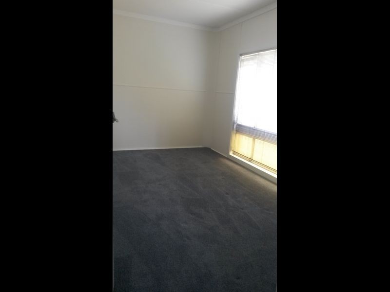 Shelly Beach NSW 2261