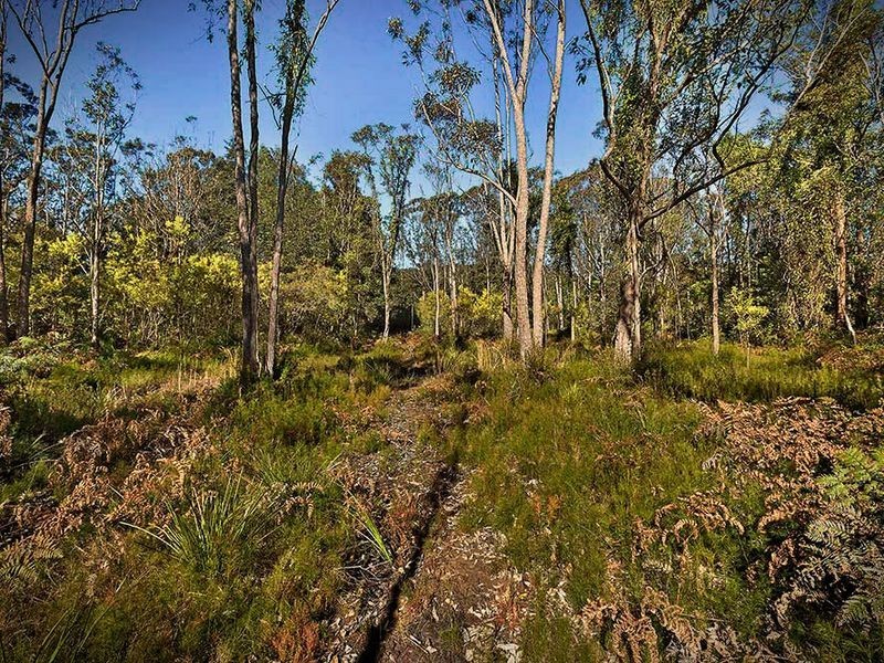 11 Ourimbah Road, Kangy Angy NSW 2258