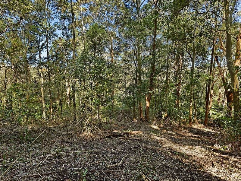 293 Matcham Road, Matcham NSW 2250