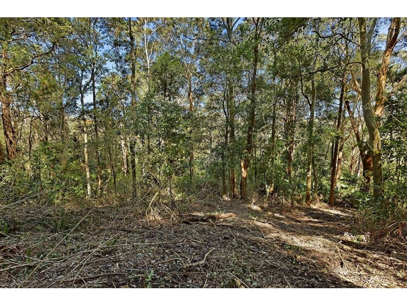 293 Matcham Road, Matcham NSW 2250