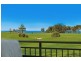 41 Waterview Street, Shelly Beach NSW 2261