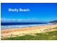 95 Grandview Street, Shelly Beach NSW 2261