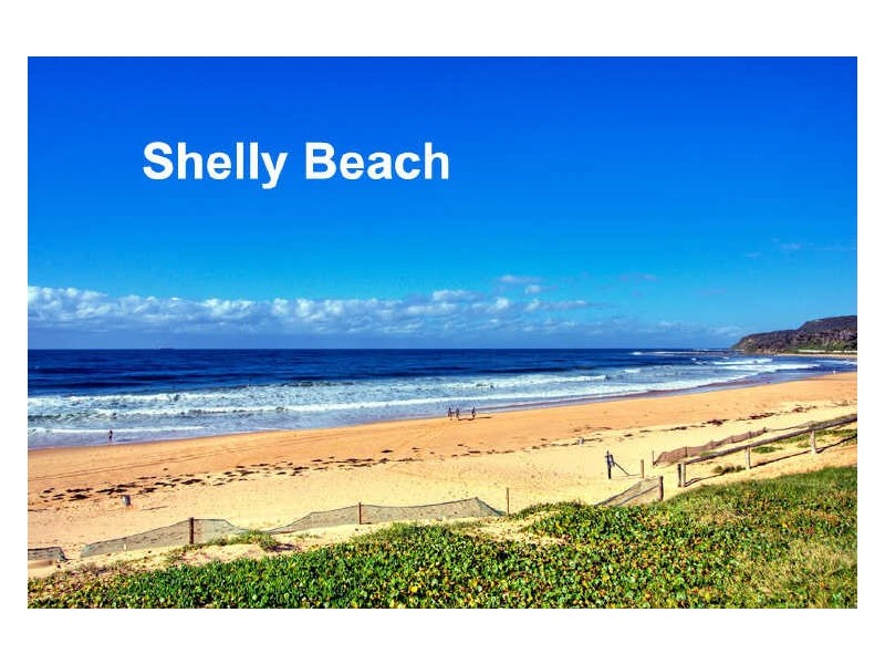 95 Grandview Street, Shelly Beach NSW 2261