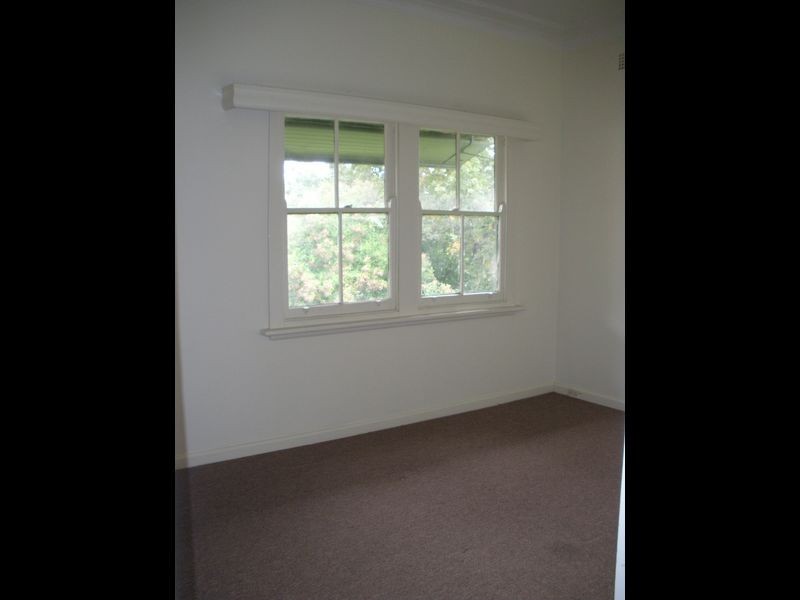 8 Hargrave Street, Wyong NSW 2259