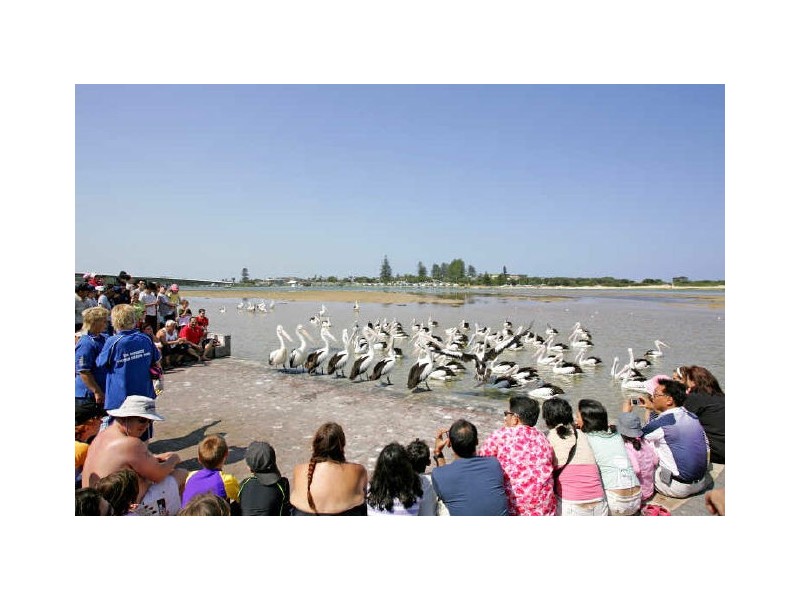 80 Bay Road, Blue Bay NSW 2261