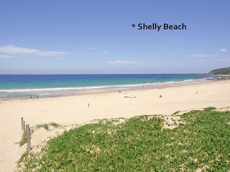 51 Liddell Street, Shelly Beach NSW 2261