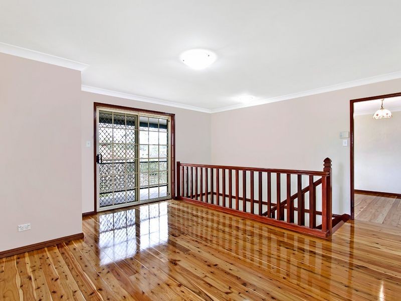 Shelly Beach NSW 2261