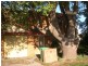 1/251 Booker Bay Rd, Booker Bay NSW 2257