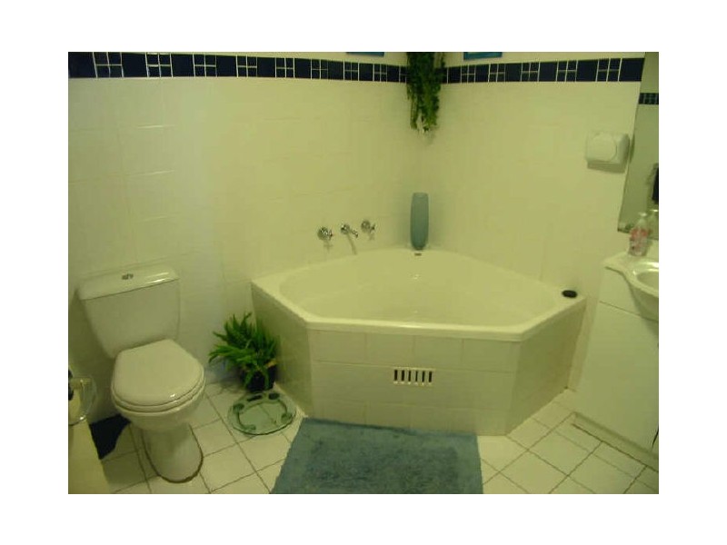 Ashfield NSW 2131