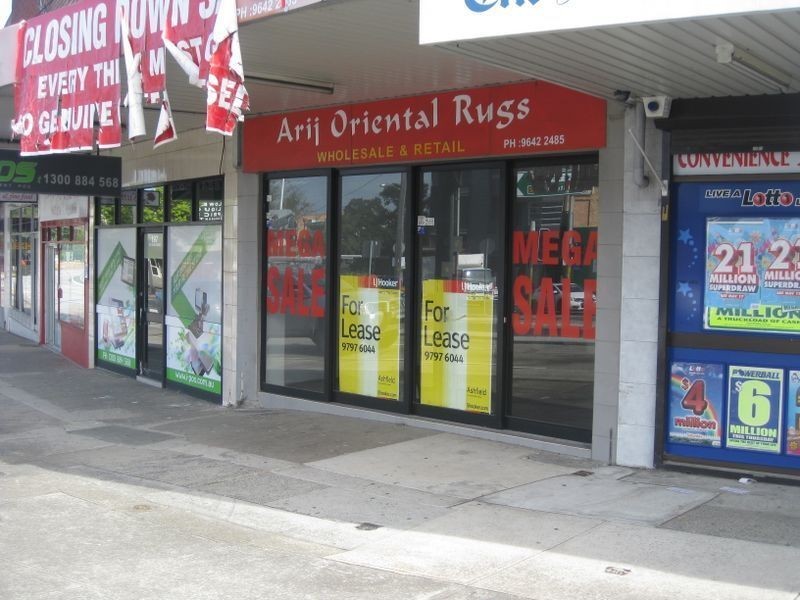 195 The Boulevarde, Enfield NSW 2136