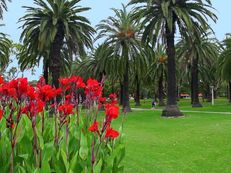 5/23 Gower Street, Summer Hill NSW 2130