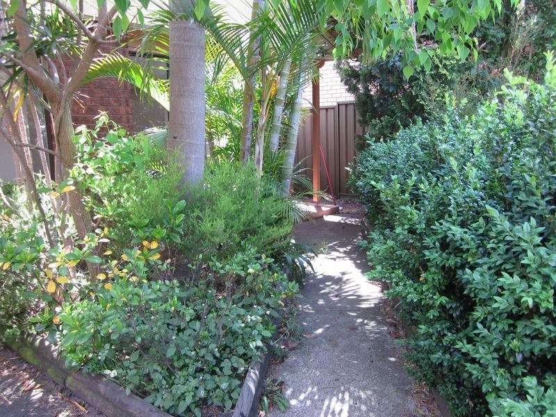 13 Eve Street, Strathfield NSW 2135
