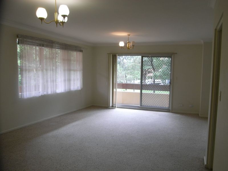 1/43 Albert Parade, Ashfield NSW 2131