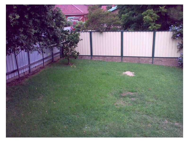 20 Norton Street, Ashfield NSW 2131