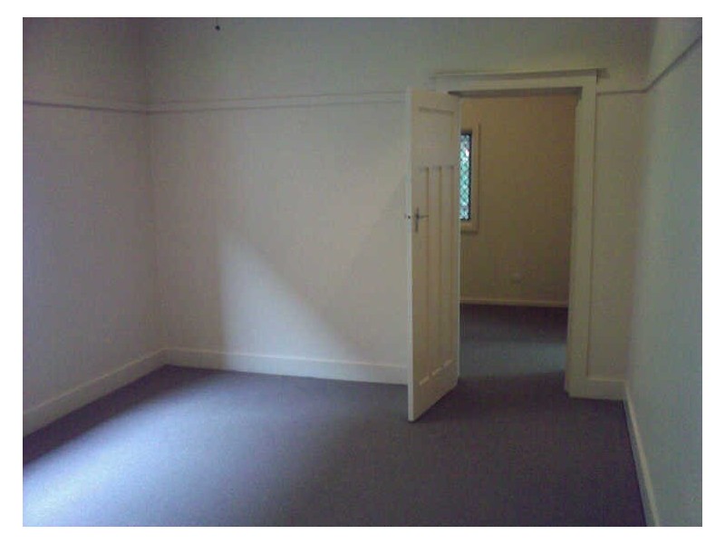 20 Norton Street, Ashfield NSW 2131