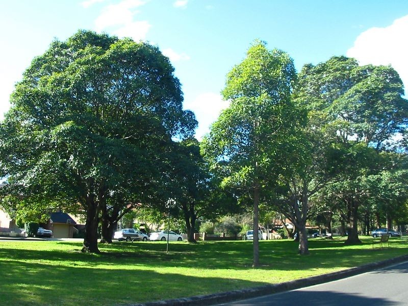 37/8 Brunswick Parade, Ashfield NSW 2131