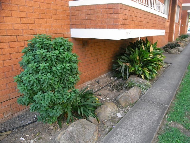 2/11 Loftus Street, Ashfield NSW 2131