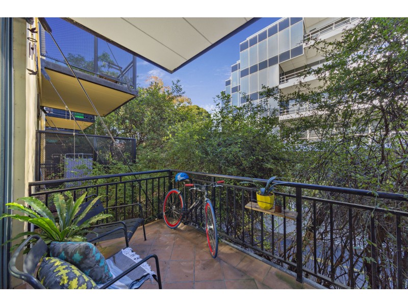 11/8 Cavill Avenue, Ashfield NSW 2131