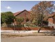 31 Lucy Street, Ashfield NSW 2131