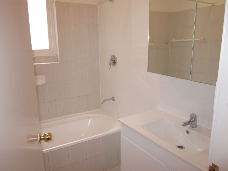 181 Norton Street, Ashfield NSW 2131